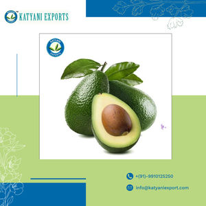 Aceite esencial de aguacate puro 100% de alta calidad, prensado en frío y orgánico. Precios competitivos y embalaje personalizado disponible - Product Image 2