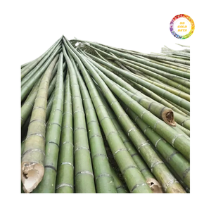 Poteau en bambou pour treillis, décoration extérieure et usage agricole avec une structure solide et une excellente option économique - Product Image 4