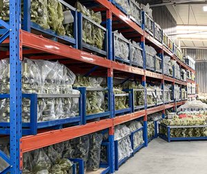 Vilebrequin N57D30 avec 4 contrepoids 11217799970 7799971 78129540300 utilisé pour <span class=keywords><strong>BMW</strong></span> N57D30A <span class=keywords><strong>N57D30B</strong></span> - Product Image 3