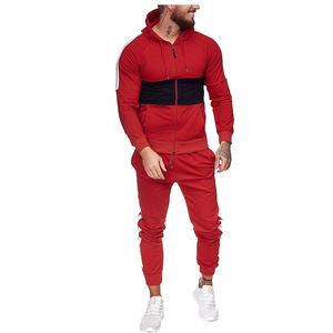 Deux pièces survêtement à capuche pour hommes 100% coton Sport Jogging ensemble veste confortable pantalons de survêtement équipe survêtement pour la saison d'automne - Product Image 2