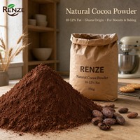 Poudre de cacao naturelle 10-12% de matières grasses, qualité alimentaire, approvisionnement en vrac pour l'industrie de la pâtisserie et des biscuits
