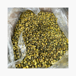 ดอกคาโมไมล์2024ดอกเดซี่พร้อมรสชาติอาหารเพื่อให้นอนหลับได้อย่างรวดเร็ว - Product Image 3