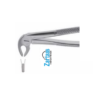 Pince d'extraction en acier inoxydable de haute qualité prémolaires inférieures pour enfants fig 13S exportateurs et fabricant - Product Image 4