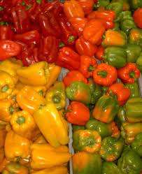 Pimientos Rojos Frescos de Primera Calidad al por Mayor, Pimientos de Alta Calidad con Sabor Picante, Cosecha Más Reciente, Suministro a Granel, Países Bajos - Product Image 5