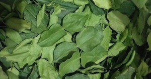 FEUILLES DE LIME À BASE DE PLANTES/SÉCHÉES À L'AIR ET NATURELLES - Product Image 3