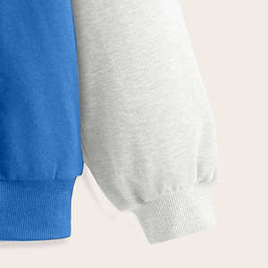 เสื้อฮู้ดดี้เฟรนช์เทอร์รี่แบบเรียบ 400gsm 500gsm ยูนิเซ็กส์ ผ้าฝ้าย 100% ทรงครอป สตรีทแวร์ โอเวอร์ไซส์ หนานุ่ม - Product Image 3