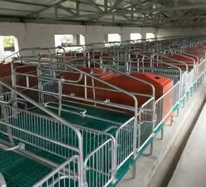 Caisses de mise bas de porc de nouvelle condition stylo de mise bas de truie pour l'élevage de porcherie Cages pour animaux équipement de porc - Product Image 5