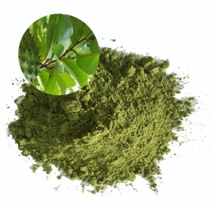 POUDRE DE FEUILLE DE SOURSOP BIO EN VRAC 1KG EMBALLÉE dans 30 SACS DE THÉ, IDÉAL pour LE THÉ, LES PRODUITS DE BEAUTÉ et L'USAGE NUTRITIONNEL 2024 - Product Image 3