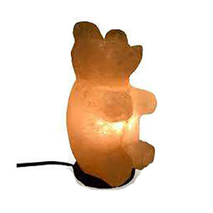 Meilleures lampes de nuit au sel de l'Himalaya en gros du fabricant avec décorations de roche naturelle au design animal sculpté - Product Image 4