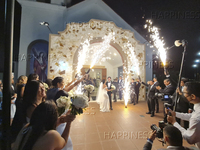 Lanceur Pyro Froide Portatif Réutilisable pour Mariage, Feu d'Artifice de Scène, Fontaines de Glace d'Anniversaire, Support de Sparkler pour Boîte de Nuit ou Fête