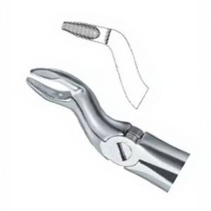 Forceps d'extraction de dents Fig57 B meilleure qualité logo personnalisé produits Instruments dentaires en acier inoxydable - Product Image 5