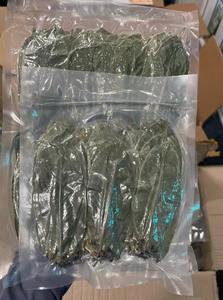 Dried Soursop Graviola Leaves Bulk Supply Annona Muricata Raw Leaves for Loose Leaf <b>Tea</b> Sachet and Bagged <b>Tea</b> Processing - Product Image 3