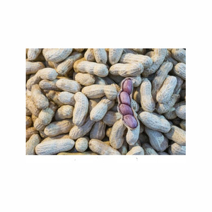 Fresh Dried Peanut <b>Nuts</b> Bulk Wholesale for Food Industry Snacks Raw Processed in Large Quantities Organic - Product Image 1