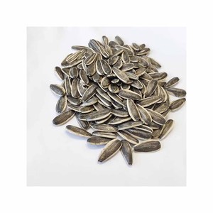 เมล็ดทานตะวันขาวดีและไม้จิ้มฟันอาหารเมล็ดทานตะวันขาว - Product Image 2