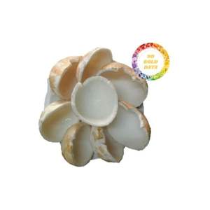 Viande de noix de coco congelée de qualité supérieure chair blanche fraîchement conservée prête à manger ou à cuire idéale pour les restaurants, les cafés et les ventes au détail - Product Image 4