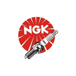 Nueva Bujía DPR8EA-9 - Product Image 1