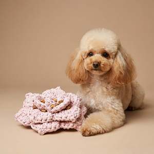 Juguete Masticable para Perros con Forma de Flor de Cerezo, Ecológico, Pequeño, Duradero, Interactivo, de Felpa y Lana con Algodón para Gatos - Product Image 2
