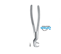 Pince d'extraction en acier inoxydable de haute qualité ROUTURIER molaires inférieures et sagesse droite fig 213 exportateurs et fabricant