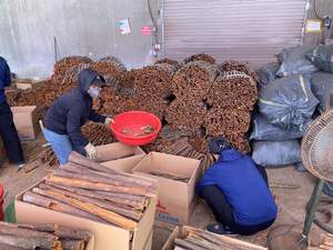 Bâton de cannelle séché CASSIA de haute qualité au Vietnam à bas prix - Product Image 5