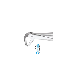 Pince d'extraction en acier inoxydable de haute qualité racines inférieures fig 74n exportateurs et fabricant - Product Image 1