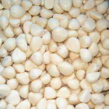 <b>GARLIC</b> FROM <b>FRESH</b> / FROZEN FORM / PLANT ORIGIN / CLEAN PREPARATION - Product Image 3