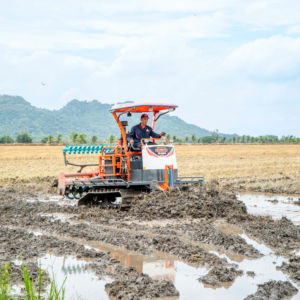 Tractor Agrícola Hogico de 80 CV, Nuevo, 2WD, Cultivador Agrícola 3 en 1, Rotocultor, Cultivador Rotatorio, Oruga de Goma Agrícola en Venta - Product Image 5