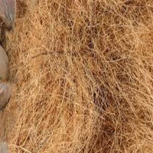 Fibra de coco de calidad de exportación fibra de coco procesada limpia fuerte perfecta para compradores mayoristas e industriales globales - Product Image 2