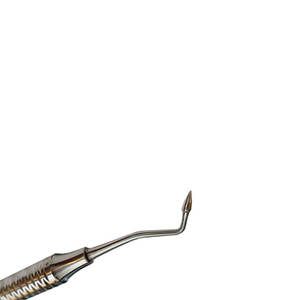 Pulidores Dentales de Alta Calidad para Restauraciones Lisas y Pulimentadas y Cuidado Restaurador, Instrumentos Quirúrgicos Dentales - Product Image 6