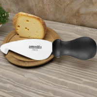 Couteau à fromage AUSONIA Parmesan 10 cm avec manche hygiénique, couteau à Emmental, Parmesan, Cheddar, fabriqué en Italie