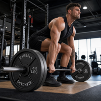 Ensemble de plaques de poids en fonte Pureflex noires durables personnalisées 255 LB (2,5-45 LB) pour l'entraînement de force à domicile