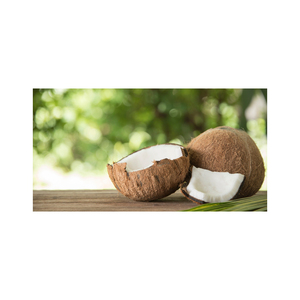 Prix bon marché noix de coco fraîche mature semi décortiquée - Product Image 6