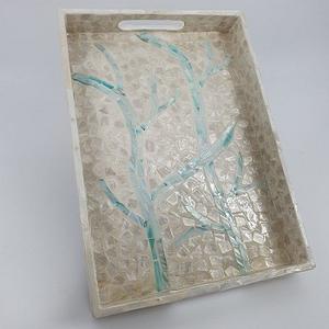 Bandeja de Nácar Ecológica de Tendencia, Base de Fibra de Vidrio para Decoración de Comedor de f s international - Product Image 3