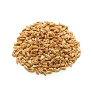 Blé séché naturel d'alimentation animale de première qualité biologique de haute qualité dans un emballage en gros de sac de 50 Kg - Product Image 2