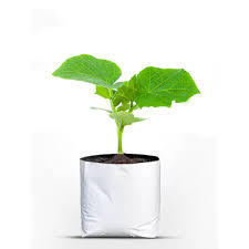 ถุงปลูกมะพร้าวแบบอินทรีย์ธรรมชาติสำหรับการเพาะปลูกแบบไร้ดิน - Product Image 5