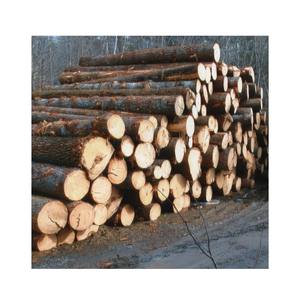 Troncos de Álamo de Primera Calidad con Certificación FSC para Verificación de Origen Sostenible y Proyectos de Construcción Ecológica al por Mayor - Product Image 4