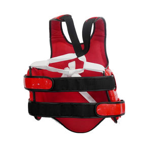 Protector de Pecho TKD, Equipo de Protección para Karate y Taekwondo - Product Image 3