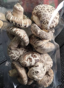 Champignon Shiitake séché blanc naturel approvisionnement en vrac produit déshydraté de type japonais de qualité supérieure du Vietnam pour la cuisson des aliments - Product Image 3