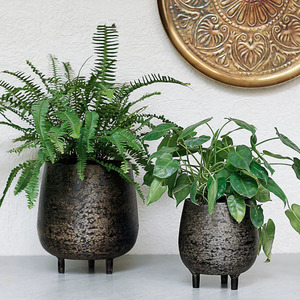 Perfection How the Right Planter Can Transform <b>Your</b> Plants Plant <b>Love</b> Elevating <b>Your</b> Greenery with Stylish Planters - Product Image 2