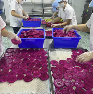 Fruits du dragon séchés de qualité supérieure des exportateurs vietnamiens - Product Image 6