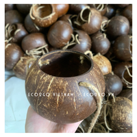Pot Tanaman/Pot Bunga Ramah Lingkungan dari Kulit Kelapa Alami Grosir 2026 dengan Tali Gantung & Logo Kustom untuk Penggunaan di Kebun