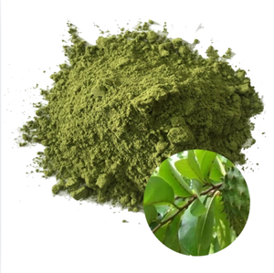 Meilleur prix, approvisionnement premium pour l'exportation de sachets de thé de feuilles de corossol et de poudre de guanabana, emballage en vrac avec prix d'usine flexibles - Product Image 4