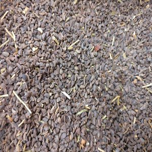 Harmal | สมุนไพรหอมตามธรรมชาติ | ใช้ในประเพณีโบราณ - Product Image 6