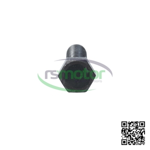 Pieza de Repuesto de Motor de Alta Calidad, Piezas de Fijación de Alta Precisión, Perno Hexagonal MWM RS-01126193 - Product Image 5
