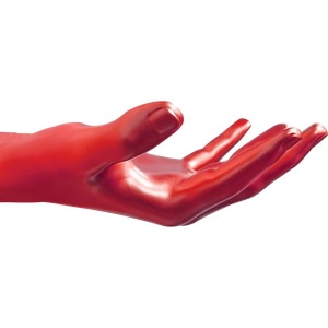 Soporte de Pared para Balón de Rugby, Producto de Almacenamiento - Product Image 4