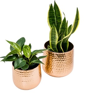 Jardinière de style moderne pour jardin et intérieur, couleur or - Product Image 3
