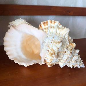 Lampe à sel d'art populaire imperméable séchée naturelle vietnamienne 2025 avec technique de couture pour la décoration de la maison et des vacances - Product Image 1