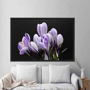 Printed Canvas Art: Elegant Crocus Floral Decor for Holiday Gifting,1P:Black <b>Framed</b> - Product Image 1