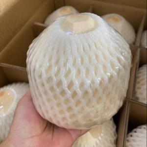 Cómo seleccionar los mejores Cocos jóvenes frescos para su negocio - Product Image 1