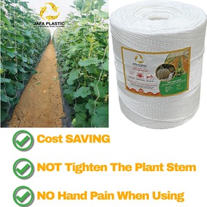 El mejor vendedor, cuerdas de embalaje trenzadas de PP ecológicas de alta calidad, cordel de invernadero suave y suave para verduras, frutas, Color verde - Product Image 4