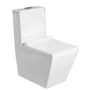 WC monobloc en céramique de luxe de couleur blanche brillante placard à eau Design moderne réservoir dissimulé toilettes cuvette ensemble pour projet de salle de bain - Product Image 1